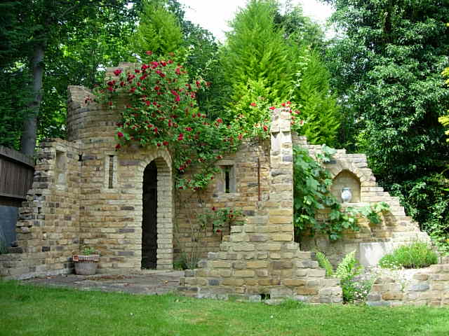The climbing rose coming in to bloom on the Folly - June 2010
