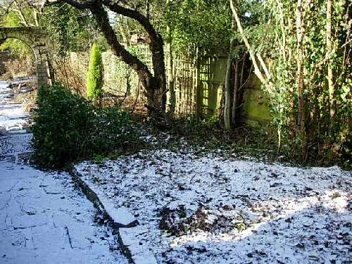 Most of the shrubs cleared behind the wall