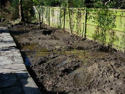 The water-logged bed