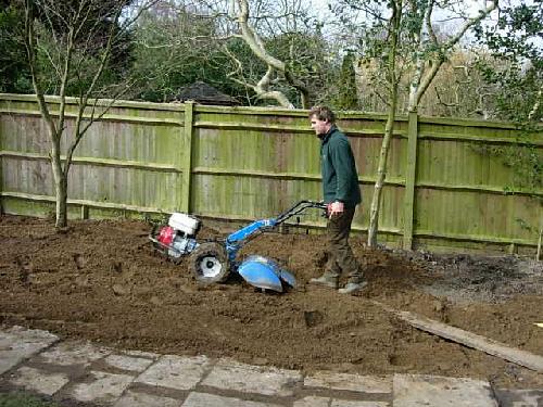 Rotavating the ground to break up the remaining roots