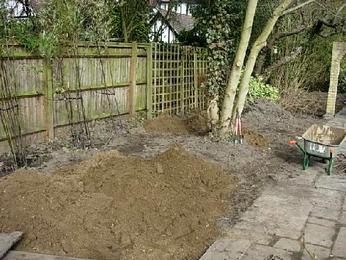 The bamboo moved back from the path