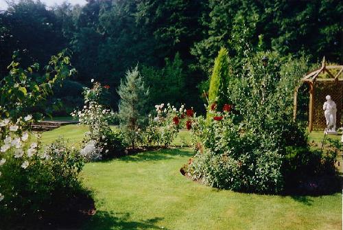 The planting in the beds forming a screen